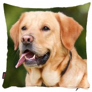 Köpekli Yastık Kılıfı-24